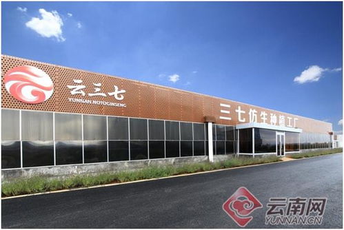 云南康旅集团以‘链’为翼 助力三七产业高质量发展