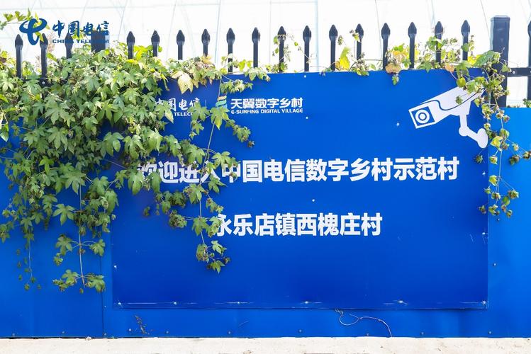 副中心乡村开出"数字花":"慧种植"贯穿农业全流程 科技模块打造村级"
